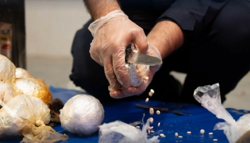 جانب من المضبوطات