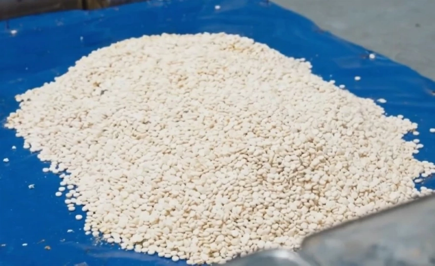 جانب من المضبوطات