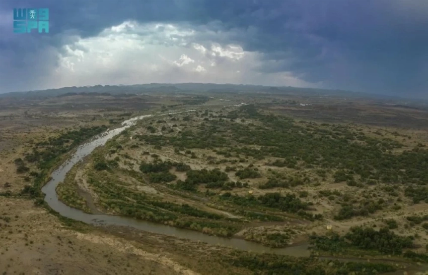 خطط طموحة من مركز الغطاء النباتي لتنمية المساحات الخضراء في مكة المكرمة. (واس)