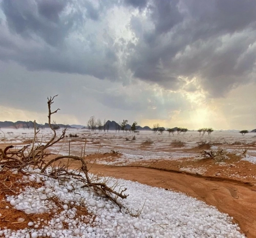 حائل والشتاء.. سردٌ من نار وبياض