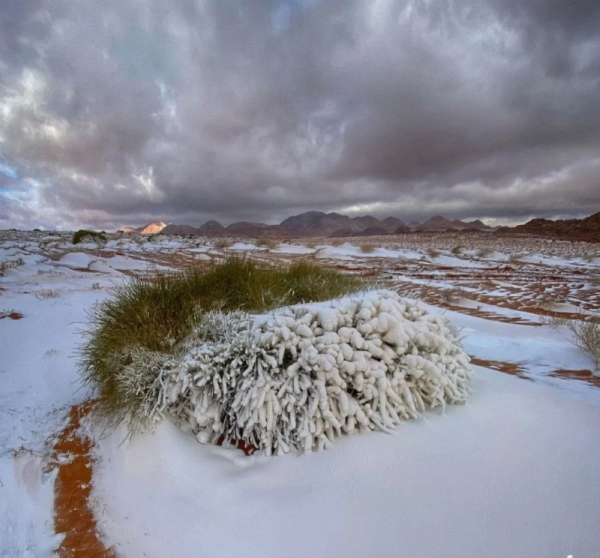 حائل والشتاء.. سردٌ من نار وبياض