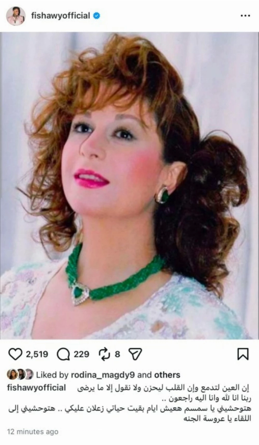 كلمات مؤثرة من الفيشاوي في نعي والدته.