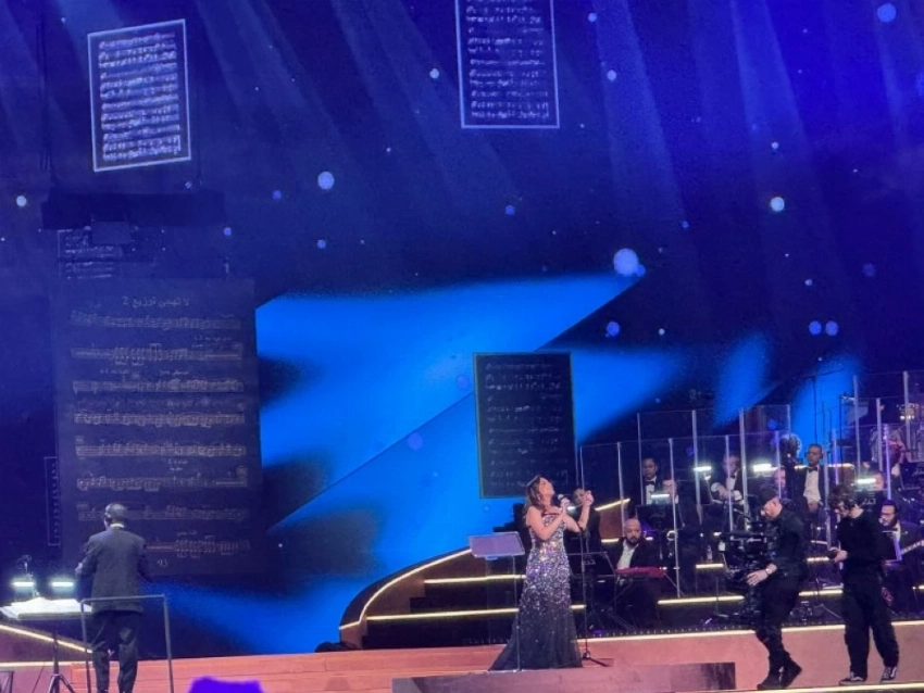 أنغام في «ليلة الحب».