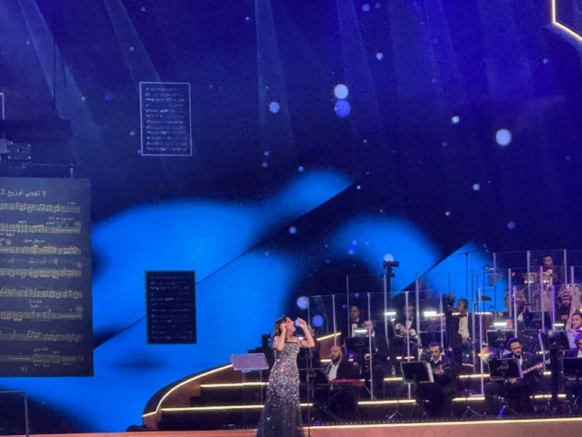 أنغام في «ليلة الحب».