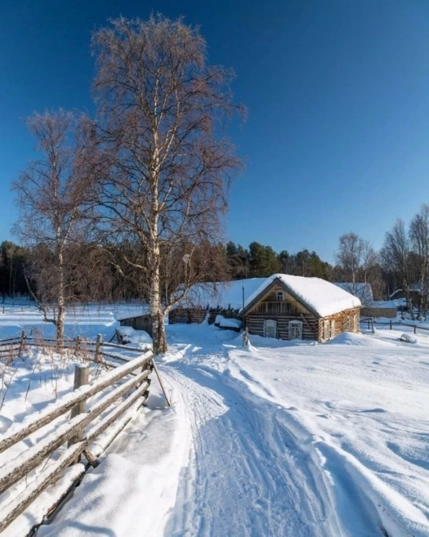 -55.7 تحت الصفر.. موجة جليدية غير مسبوقة تضرب كندا