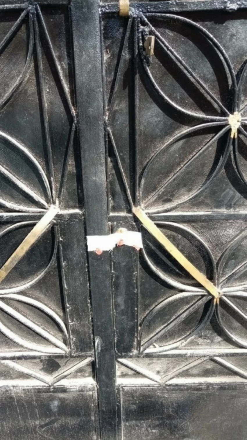 مصر: إغلاق 32 مركز إدمان غير مرخص بعد وفاة 7 في حريق مصحة بنها