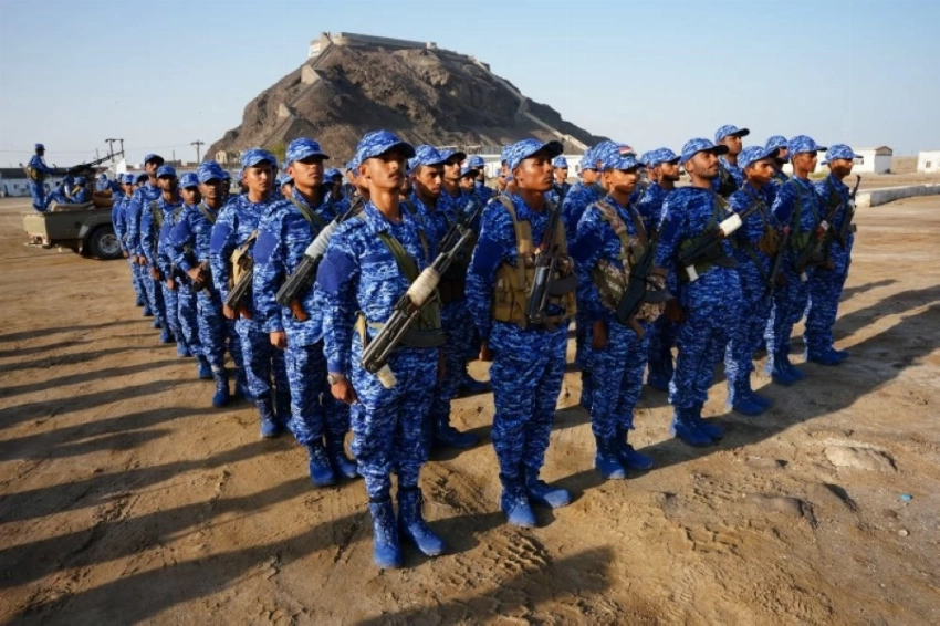 حماية المنشآت.