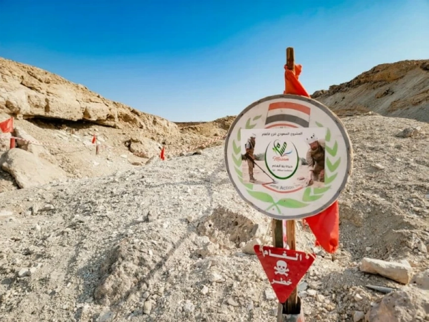 مزروعة في المكلا جرى تفكيكها