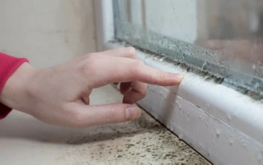 Study: Mold in the home has long-term effects on children's lungs