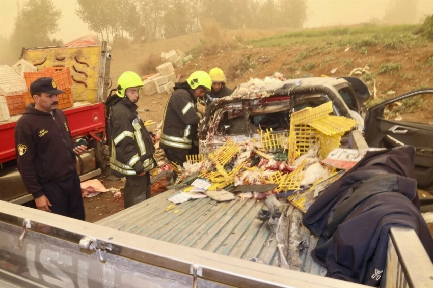 مصر: مصرع 8 عمال وإصابة 4 آخرين في حادثة سير مروعة