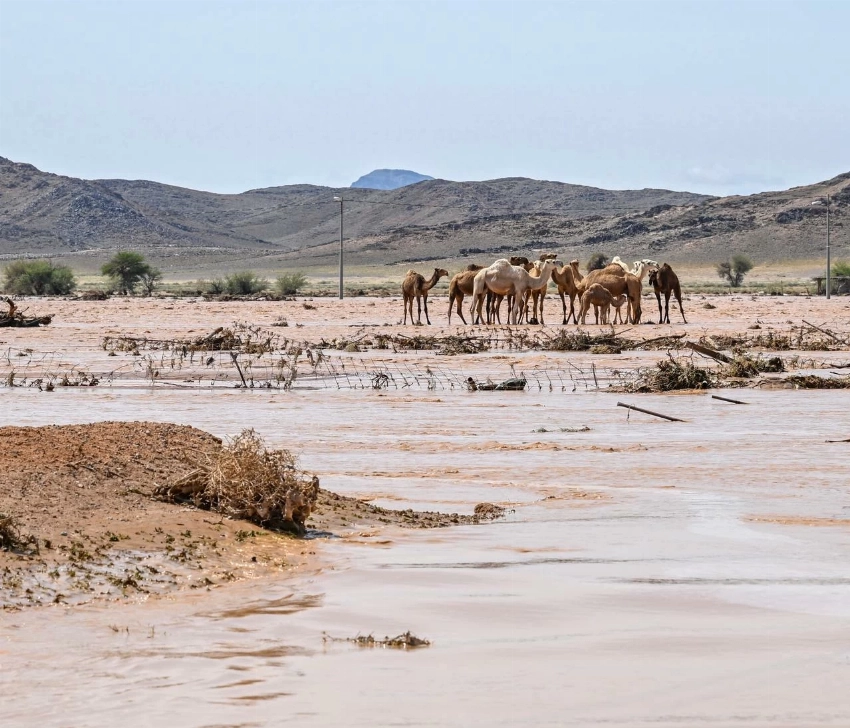 إنقاذ جوي وإيواء عاجل مع تمكين سكان "العِشّ" المتضررين من اختيار السكن في شقق مفروشة على نفقة الدولة