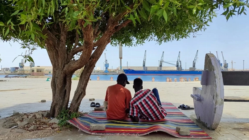الطيور تلوذ بالظلال.. بورتسودان بلا كهرباء في الـ50 درجة وليالٍ بلا نوم تحت تهديد الحرائق