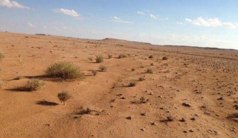 صحراء الأنبار. (أرشيف)