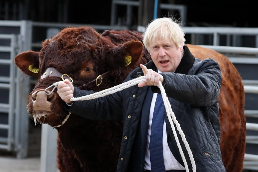 Taking the bull by the horns Britain's Prime Minister Boris Johnson tries to walk a bull during a visit to Darnford Farm in Banchory near Aberdeen in Scotland on Friday. Prime Minister Boris Johnson heads to Scotland on Friday in campaign mode despite failing to call an early election after MPs this week thwarted his hard-line Brexit strategy. — AFP