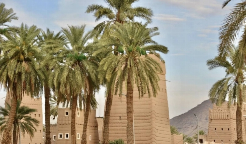 Al Qabil Village: An oasis of ancient palms and historic mud homes in Najran