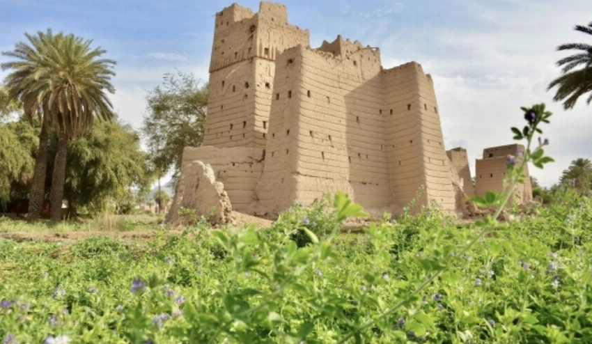 Al Qabil Village: An oasis of ancient palms and historic mud homes in Najran
